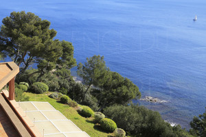 собственности ноги в воде на мысе Бенат