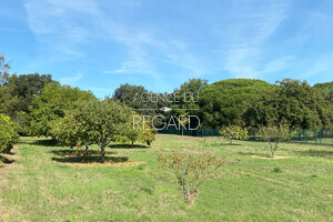 Недвижимость в Бормес-ле-Мимозас