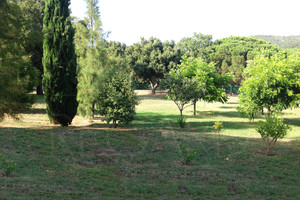 Недвижимость на продажу в Бормес Мимоза