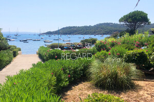 Недвижимость в Банат Гау , Рис