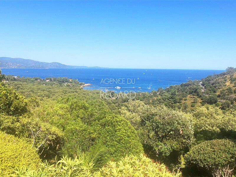 В самом сердце зелени Гау Бенат... ЭТО СВОЙСТВО БЫЛО ПРОДАНО