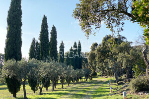 недвижимость с видом на море в Ле Лаванду