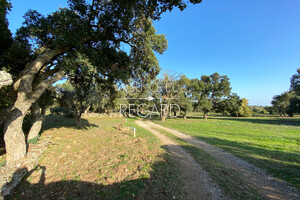 недвижимость с видом на море в Ле Лаванду