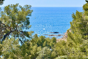 property with sea view in Saint-Mandrier