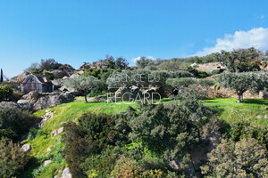 property with sea view in Le Lavandou