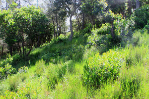 вид на море земли в Гау Бенат