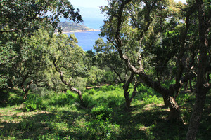 вид на море земли в Гау Бенат